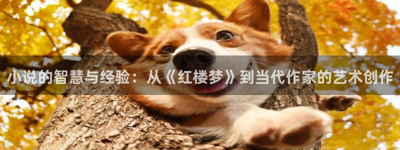 潇湘书院官方网站入口：小说的智慧与经验：从《红楼梦》到当代作家的艺术创作
